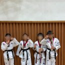 용인대 최강 태권도장 이미지