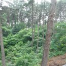 태안별장 이미지