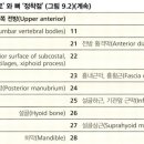 그랜드헬스 이미지