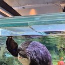 역삼1-136 이미지