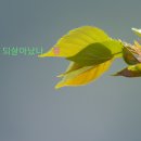 마중공원 이미지