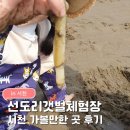 서천-8 | 선도리갯벌체험장 | 서천 가볼만한곳 동죽 맛조개 아이와함께 조개캐기 체험 솔직후기