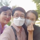 송도OK공인중개사사무소 이미지