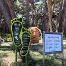 기계서숲 화장실 이미지