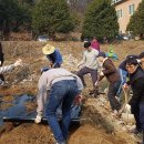 나무메드 이미지