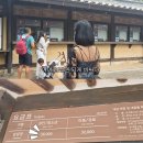 고소영 카카오 검색결과