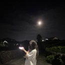 이십칠호텔 평촌본점(별관) | 너 지금 마농? (제주여행블로그라는뜻~..)