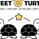 해바라기영암