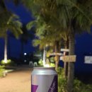 베트남 맥주 기록 #6 다낭 7 Bridges Brewing Company Dragon Session IPA 드래곤 세션 IPA 후기
