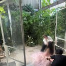 03. [WOOGI 우기] 웨딩촬영 헤어변형 후기
