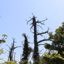 터미널부식상회 | 푸르고 물 맑은 섬에는 숨겨진 비경들도 많더라. 어청도(‘17.5.7)