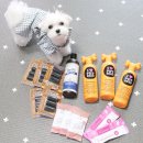 펫넘버원 이미지