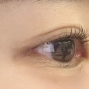 로라뷰티 | 동탄 로라엘 뷰티 방문 후기 | 운영시간·주차까지 꼼꼼 정리한 속눈썹펌 리얼후기✨