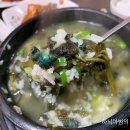 초록다슬기