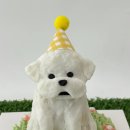 댕글로리 이미지