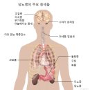 새로워 GYM 이미지