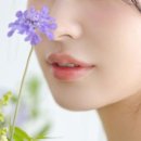 스튜디오427