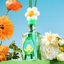 스마일 스토리 | 위글위글(WIGGLE WIGGLE)_스토리 디퓨저 세트(스마일 어웨이큰스) 후기