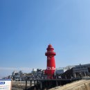 오이도 | 난전시장 내돈내산 후기 (꿀팁, 가격정보 등)