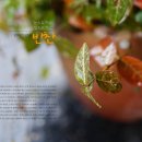 협동조합희망밥집 이미지