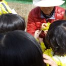 다은어린이집 - 고양시 일산동구 | 다은어린이집