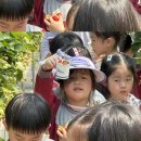 먹방농장1 이미지