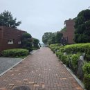 강화평화빌리지 이미지