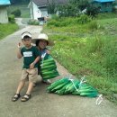 은하수농장 이미지