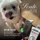 센토 | 맛있는 고불소 치약 추천, 상쾌한 센토 구취케어 내돈내산 후기