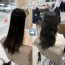 세답방 | 📍가로수길 |강남미용실 추천 "유밍" | 구름펌 파마 후기