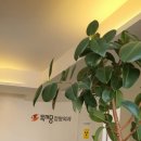 독서당정형외과의원 이미지