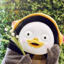 컴인워시 충주점 이미지