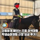 포니제주A | 초등 4학년 학생승마체험 내돈내산 후기 교하스카이승마장 신청 꿀팁과 준비물