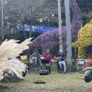 대흥사 국화축제 버스킹 이미지