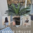 노랑통닭 금곡점 이미지