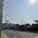 인사이트를 얻고싶다면? 용산막둥이님과 함께 스터디를! (재개발 스터디 K team 후기)