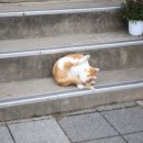 화본역 화장실 이미지