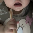 미음제과 | 일상 :: 6개월진입 | 육아일기 | 첫니 | 이유식시작 | 르한스 | 밀곳간 소금빵 | 만동제과 마늘바게트