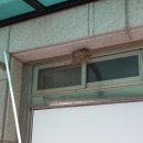 백골치과의원 이미지