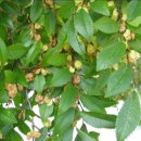 (주)나무 이미지