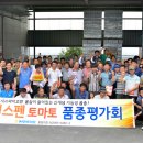 시스펜