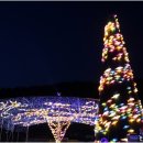 화천산천어축제산천어공방 네이버블로그