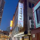 WOW모텔 | 해운대 횟집 추천 내돈내산 <해운대다찌> 끝도 없이 나오는 해산물과 안주들, 가성비 최고 맛집