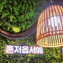 제주감성 이미지