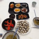 반야월벌교꼬막 | 대구 꼬막무침 맛집 반야월벌교꼬막 정식 내돈내산