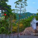 진도카멜리아힐즈오토캠핑장 이미지