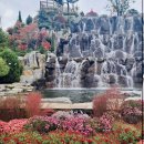 베툴라 자작나무숲 펜션 | 용인자작나무숲 11월 핑크뮬리 가을꽃축제