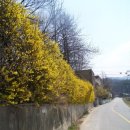 사곡1리(하사) 이미지