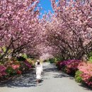 만수노인복지원 이미지