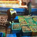 동해-단속-50 이미지